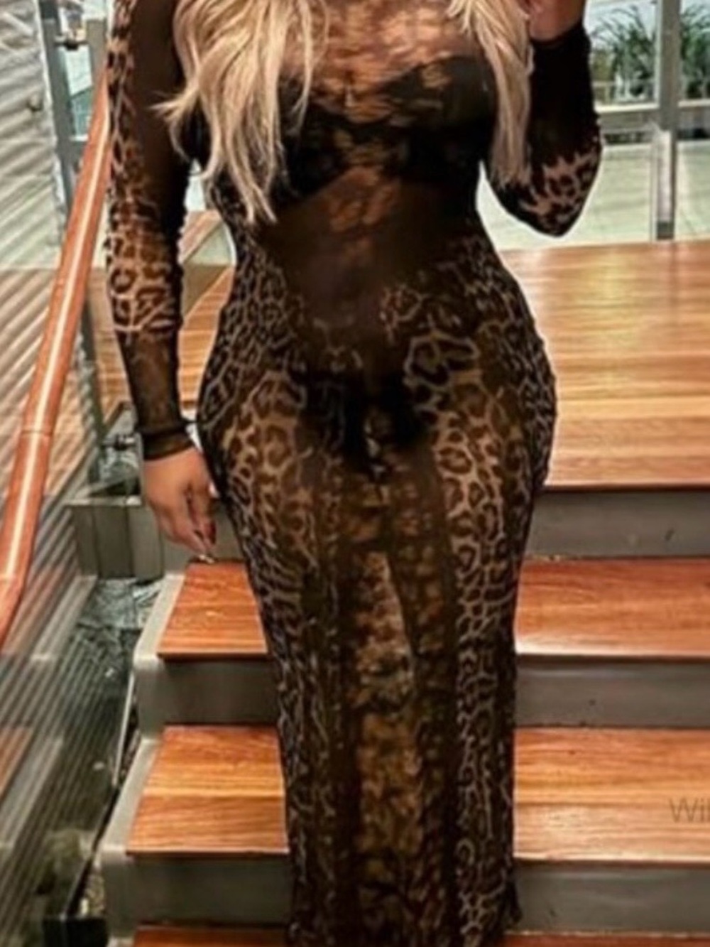 Sheer Leopard-Print Maxi Dress - Black